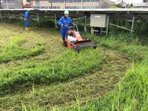 img_0956-%e8%8d%89%e5%88%88